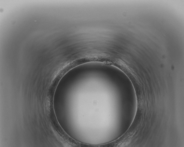 X0000073720448200608101908