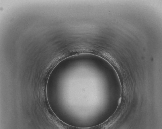 X0000073720449200608101908