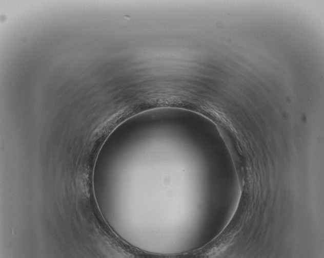 X0000073720450200608101908