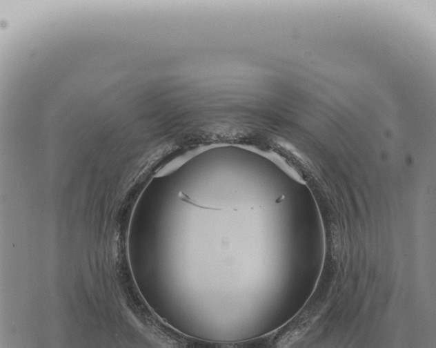 X0000073720451200608101908