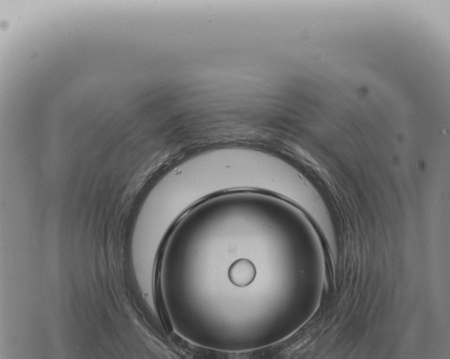 X0000073720452200608101908