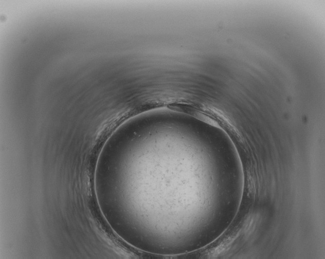 X0000073720453200608101908