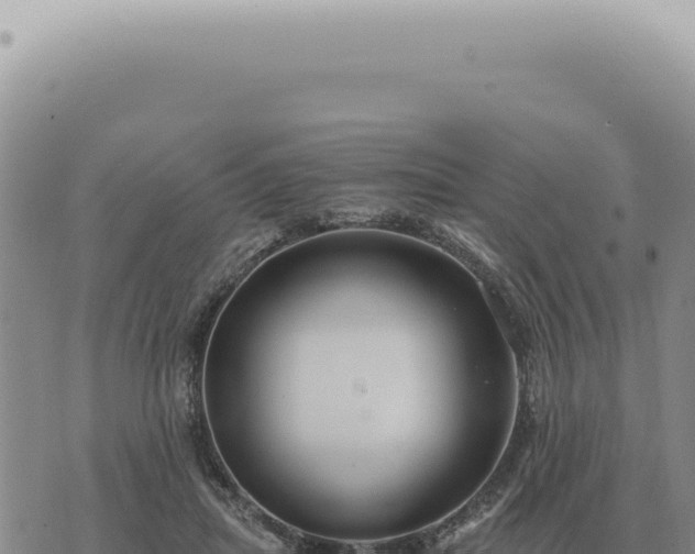 X0000073720455200608101908