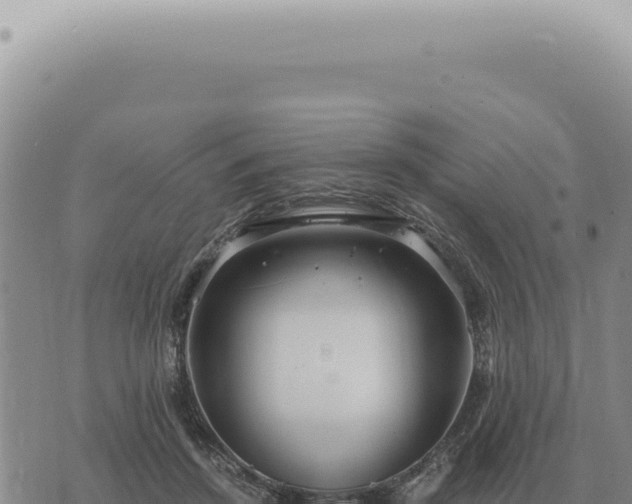 X0000073720456200608101908