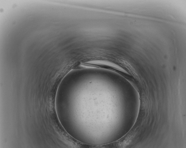 X0000073720457200608101908