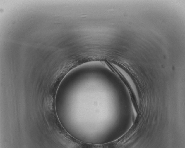 X0000073720458200608101908