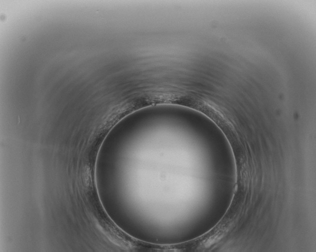 X0000073720459200608101908