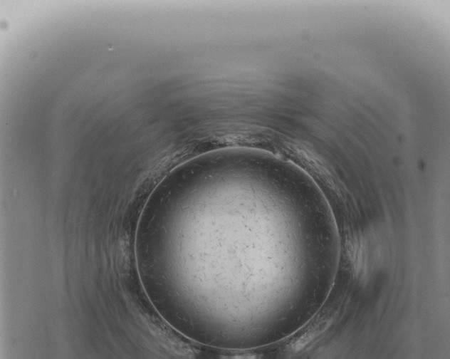 X0000073720461200608101908