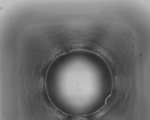 X0000073720463200608101908