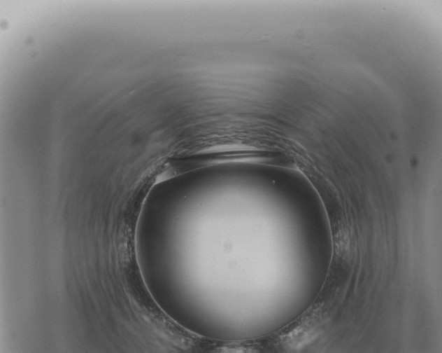 X0000073720464200608101908