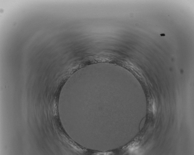 X0000073720465200608101908