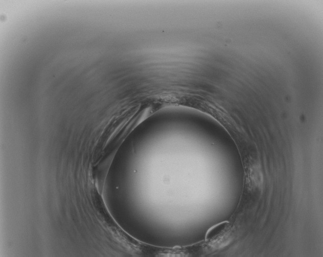 X0000073720466200608101908