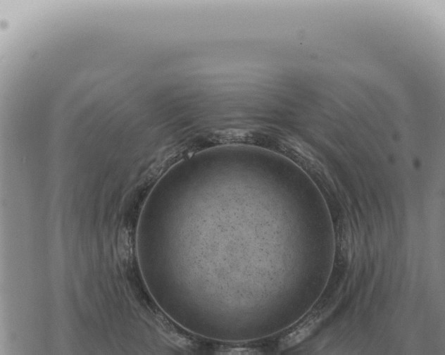 X0000073720467200608101908