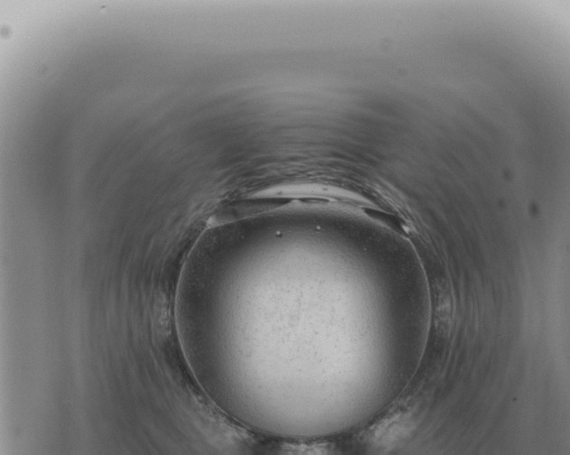 X0000073720469200608101908