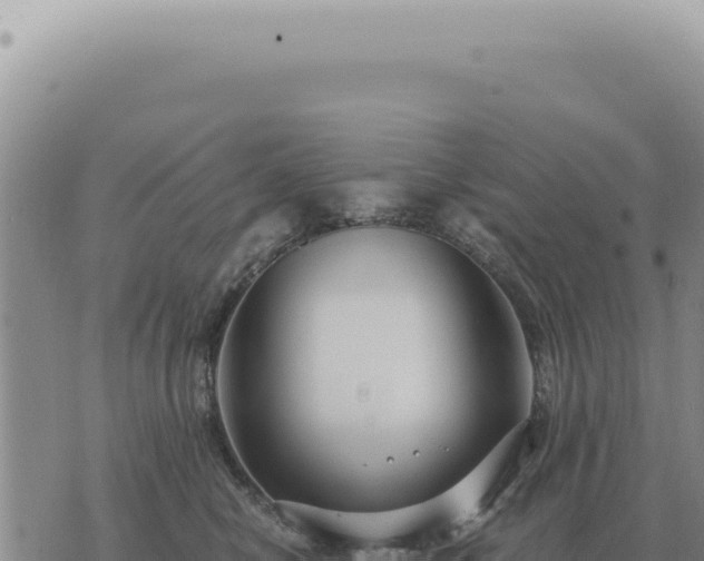 X0000073720470200608101908