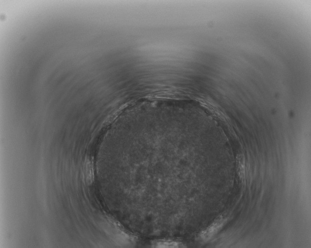 X0000073720471200608101908