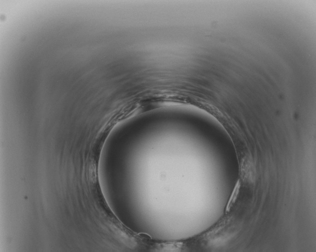 X0000073720474200608101908