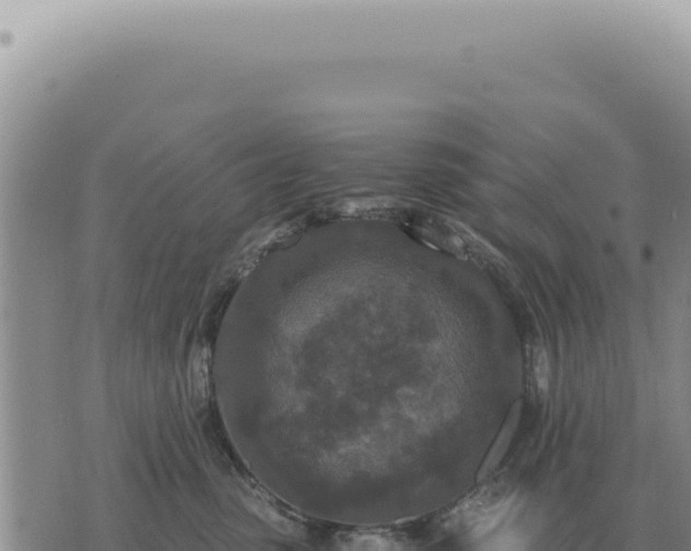 X0000073720475200608101908