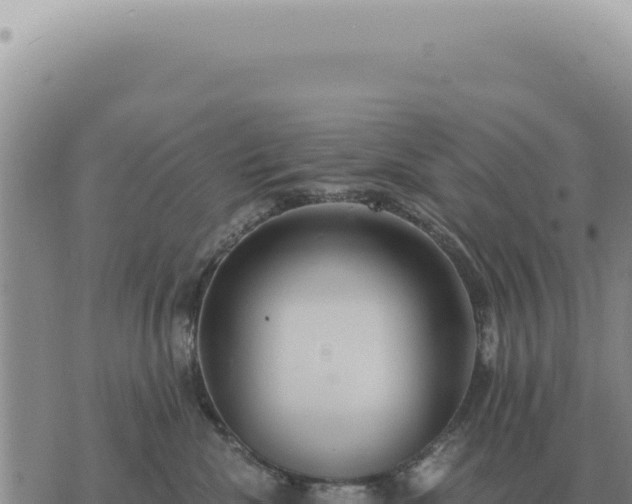 X0000073720476200608101908