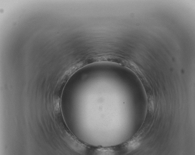 X0000073720477200608101908