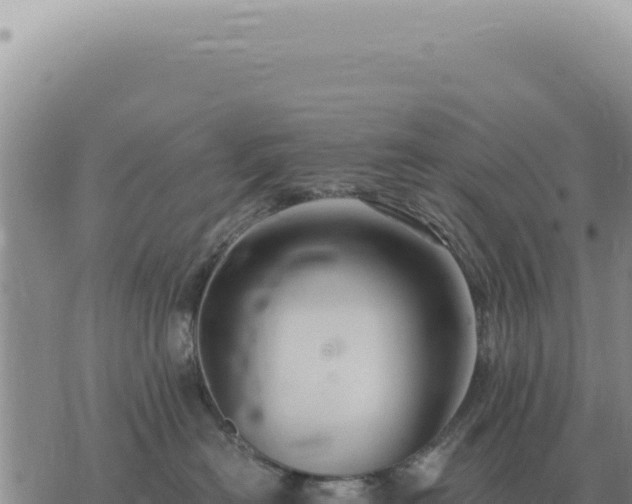 X0000073720478200608101908