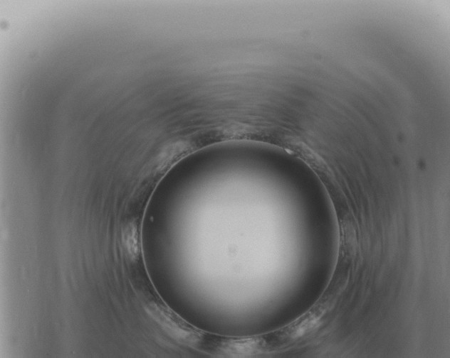 X0000073720479200608101908