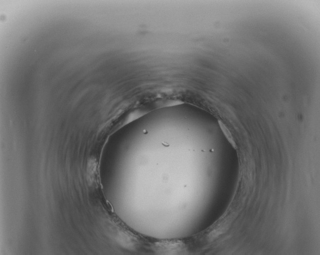 X0000073720480200608101908