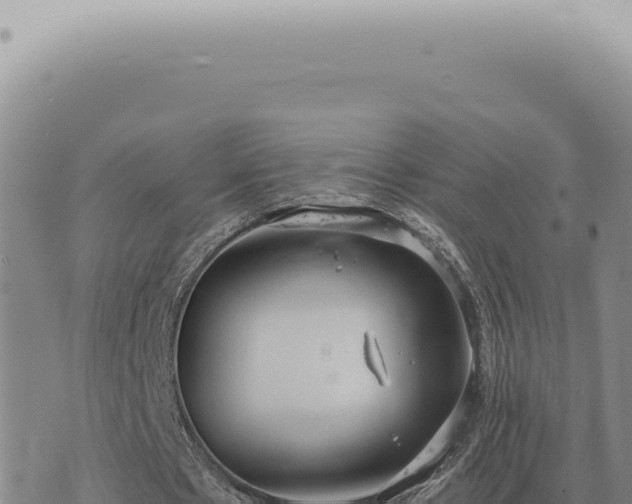 X0000073720481200608101908