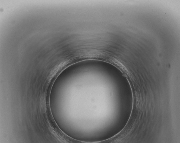 X0000073720482200608101908