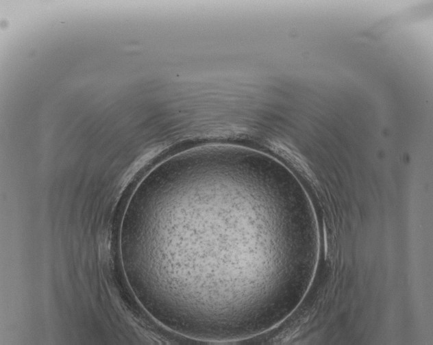 X0000073720483200608101908