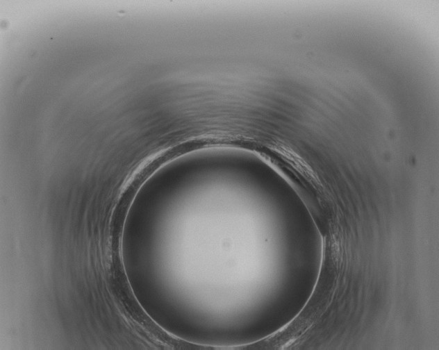 X0000073720484200608101908