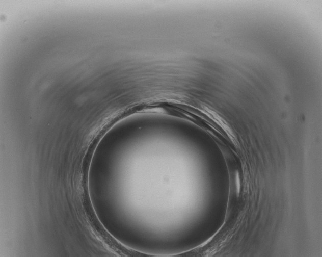 X0000073720485200608101908