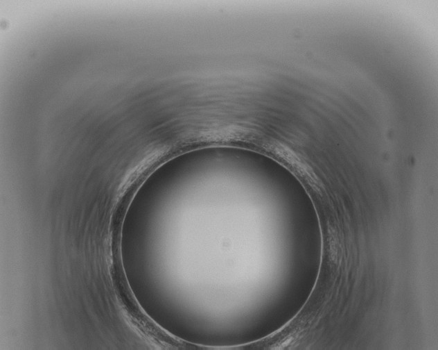 X0000073720486200608101908