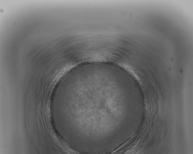 X0000073720487200608101908