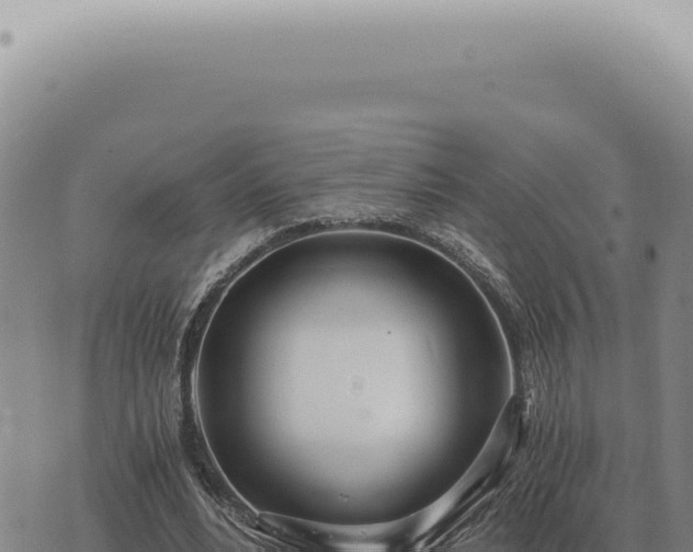 X0000073720488200608101907