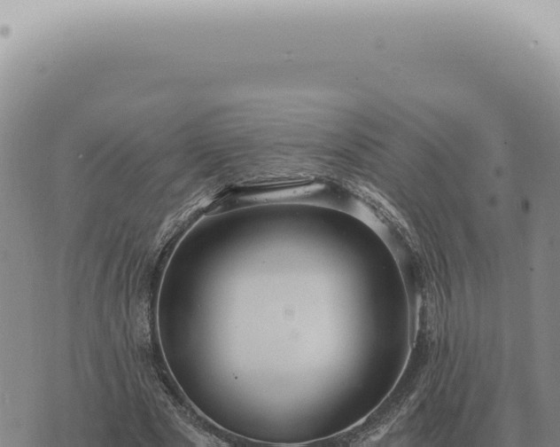 X0000073720489200608101907