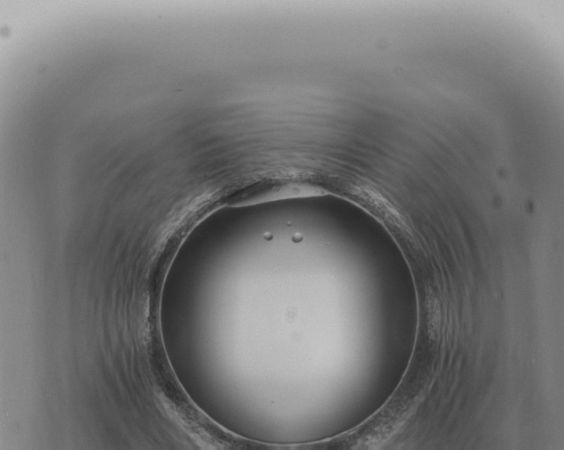 X0000073720490200608101907