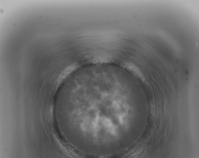 X0000073720491200608101907