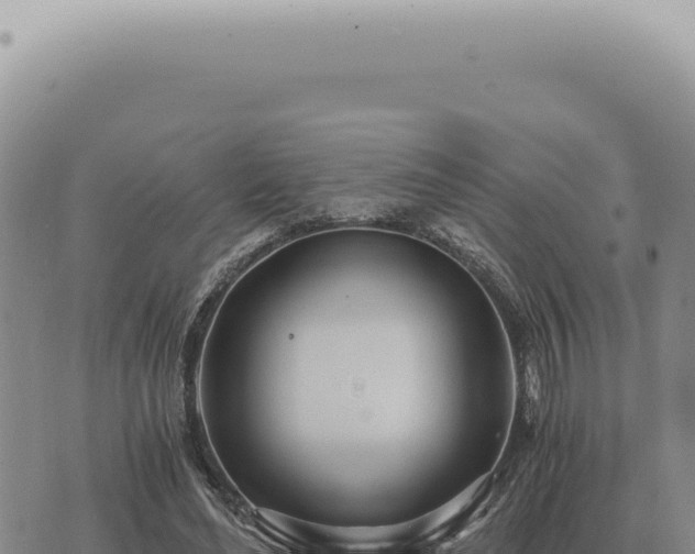 X0000073720492200608101907