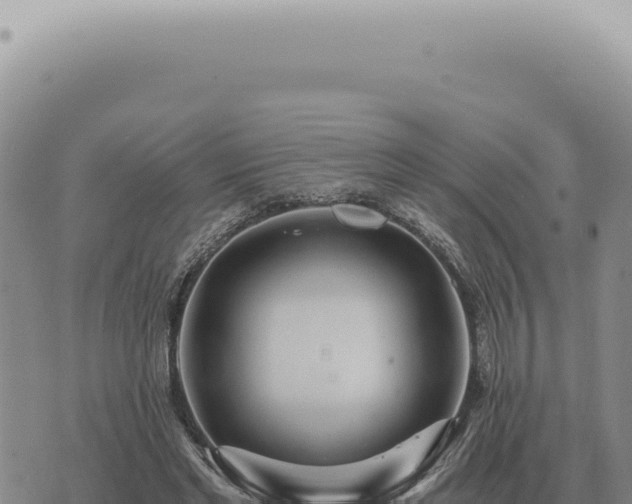 X0000073720493200608101907