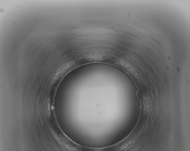 X0000073720494200608101907