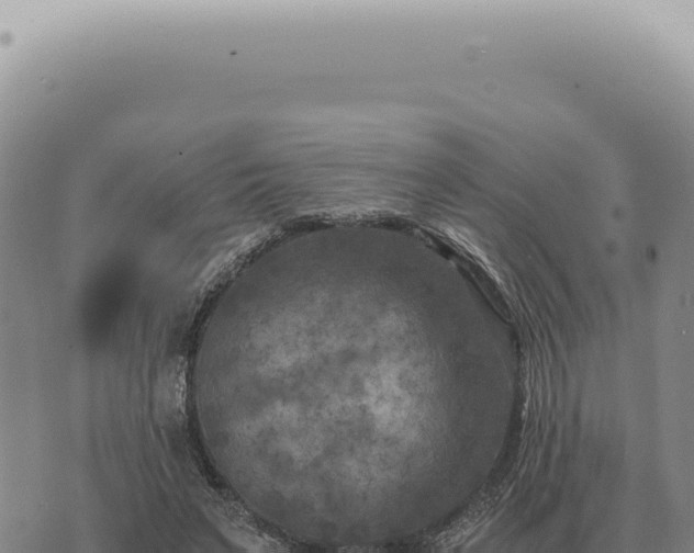 X0000073720495200608101907