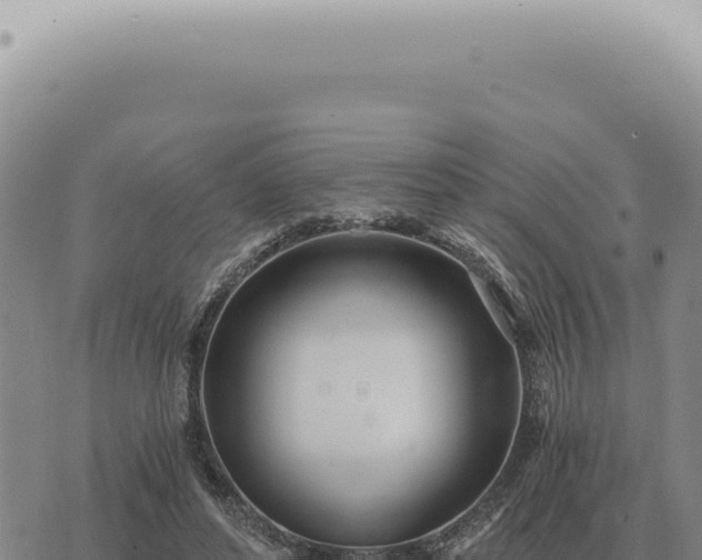 X0000073720496200608101907