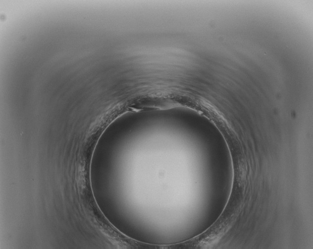 X0000073720497200608101907