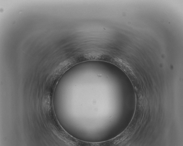 X0000073720498200608101907