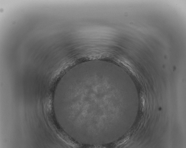 X0000073720499200608101907