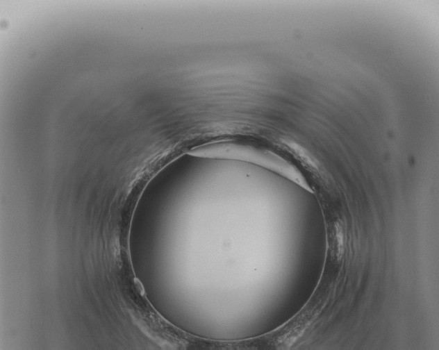 X0000073720500200608101907