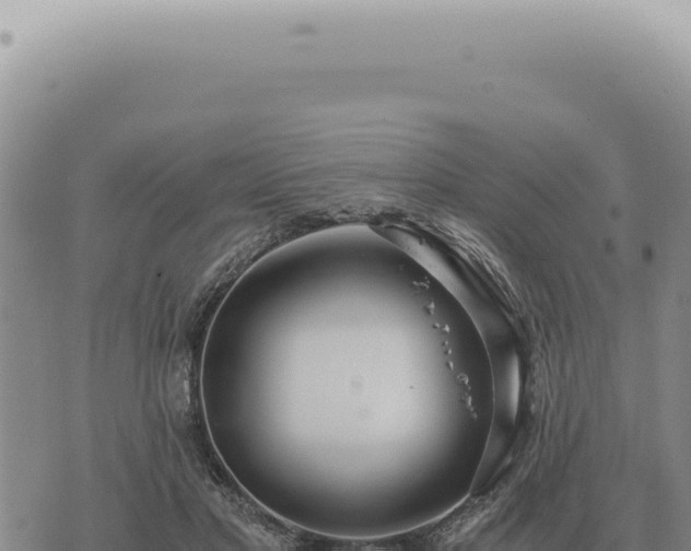 X0000073720501200608101907