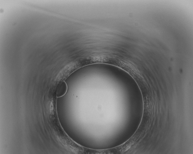 X0000073720502200608101907