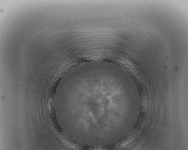 X0000073720503200608101907